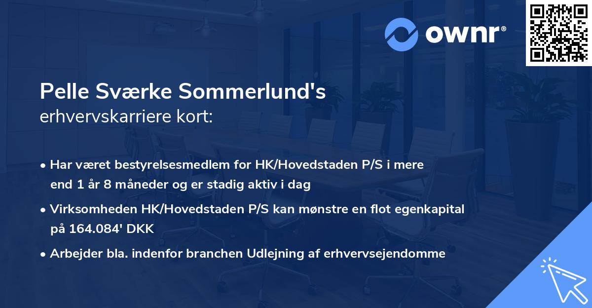 Pelle Sværke Sommerlund's erhvervskarriere kort