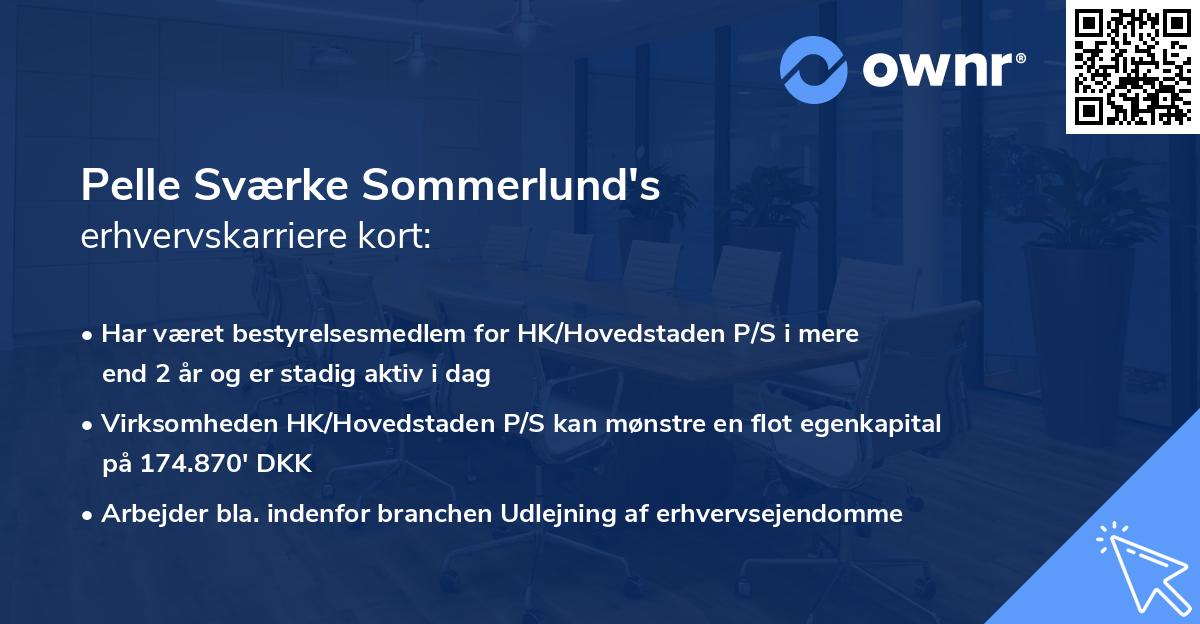 Pelle Sværke Sommerlund's erhvervskarriere kort