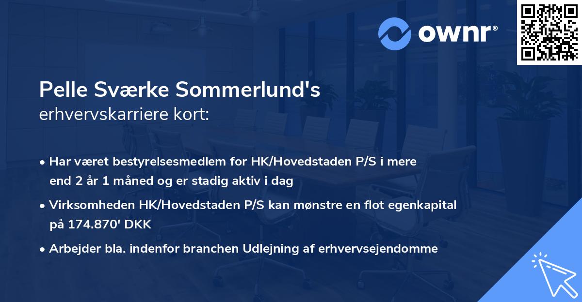 Pelle Sværke Sommerlund's erhvervskarriere kort