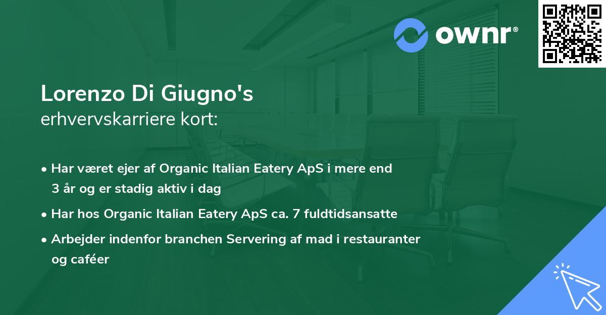 Lorenzo Di Giugno's erhvervskarriere kort
