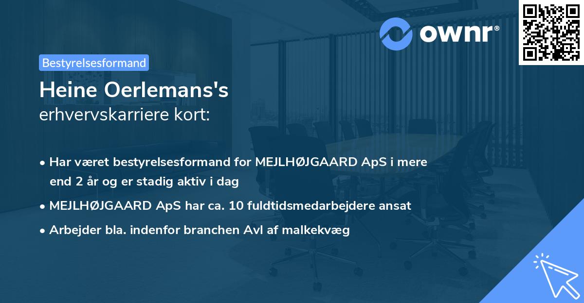 Heine Oerlemans's erhvervskarriere kort