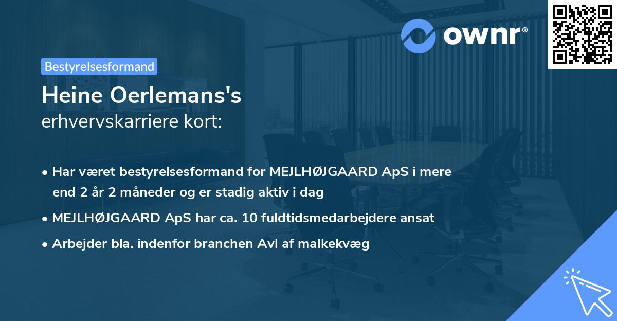 Heine Oerlemans's erhvervskarriere kort