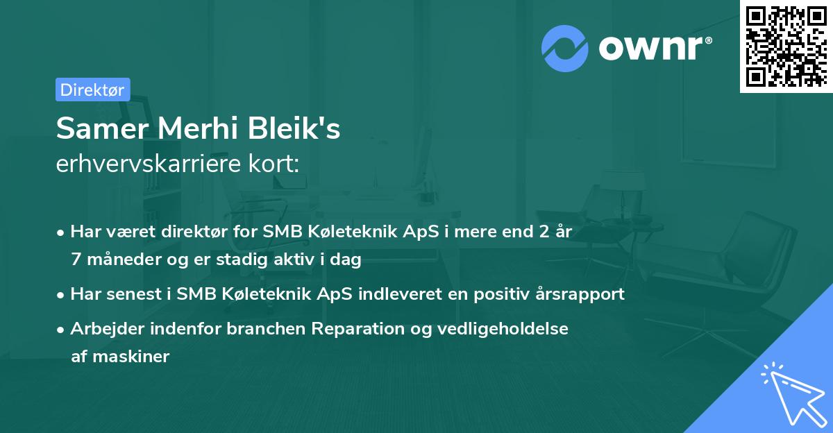 Samer Merhi Bleik's erhvervskarriere kort