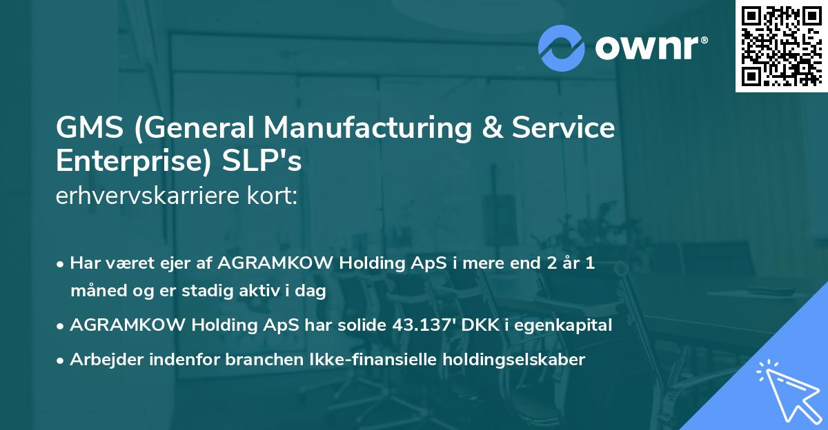 GMS (General Manufacturing & Service Enterprise) SLP's erhvervskarriere kort