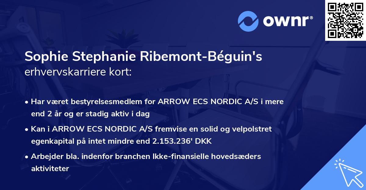 Sophie Stephanie Ribemont-Béguin's erhvervskarriere kort