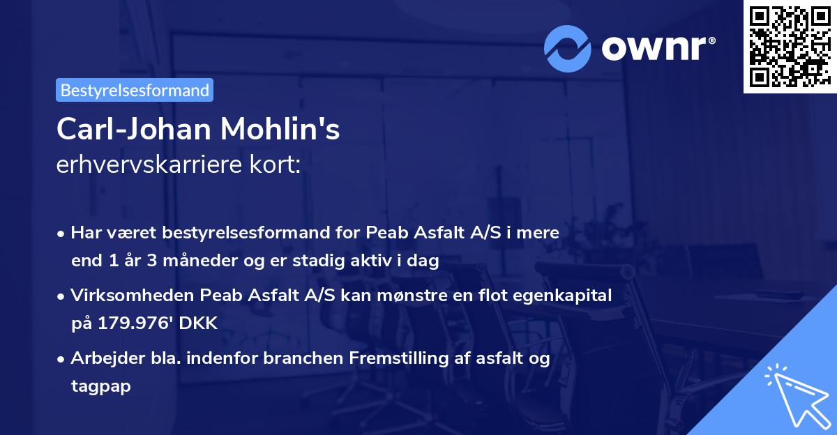 Carl-Johan Mohlin's erhvervskarriere kort