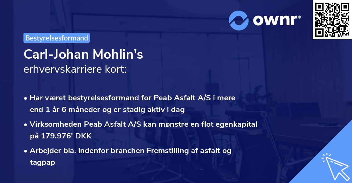 Carl-Johan Mohlin's erhvervskarriere kort