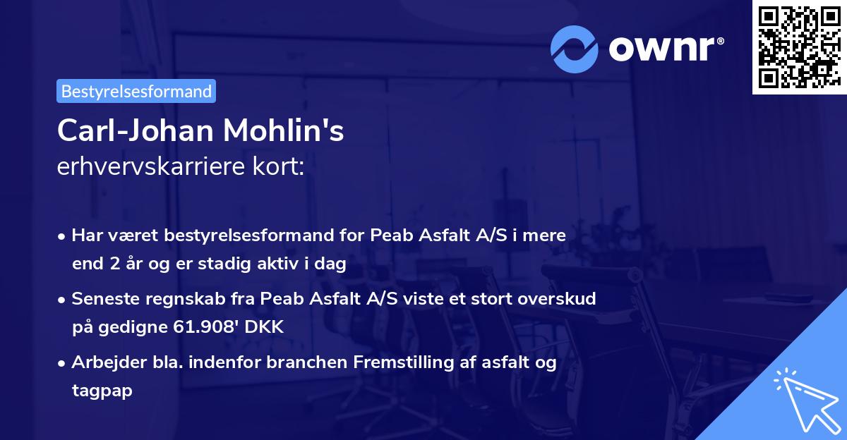 Carl-Johan Mohlin's erhvervskarriere kort