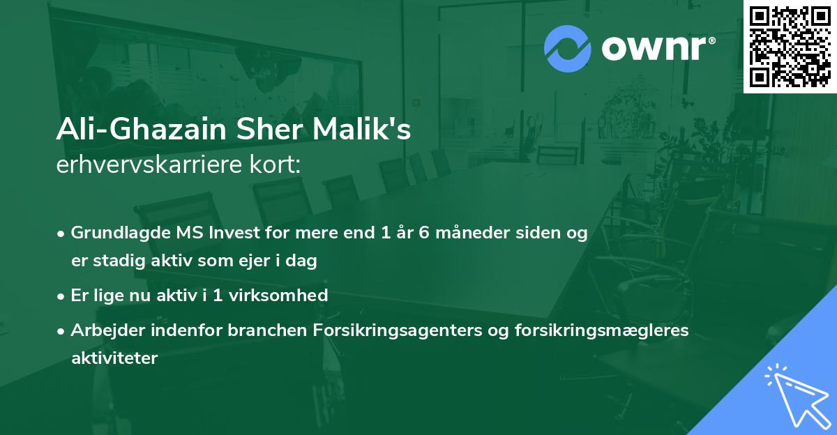 Ali-Ghazain Sher Malik's erhvervskarriere kort