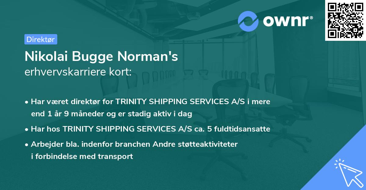 Nikolai Bugge Norman's erhvervskarriere kort