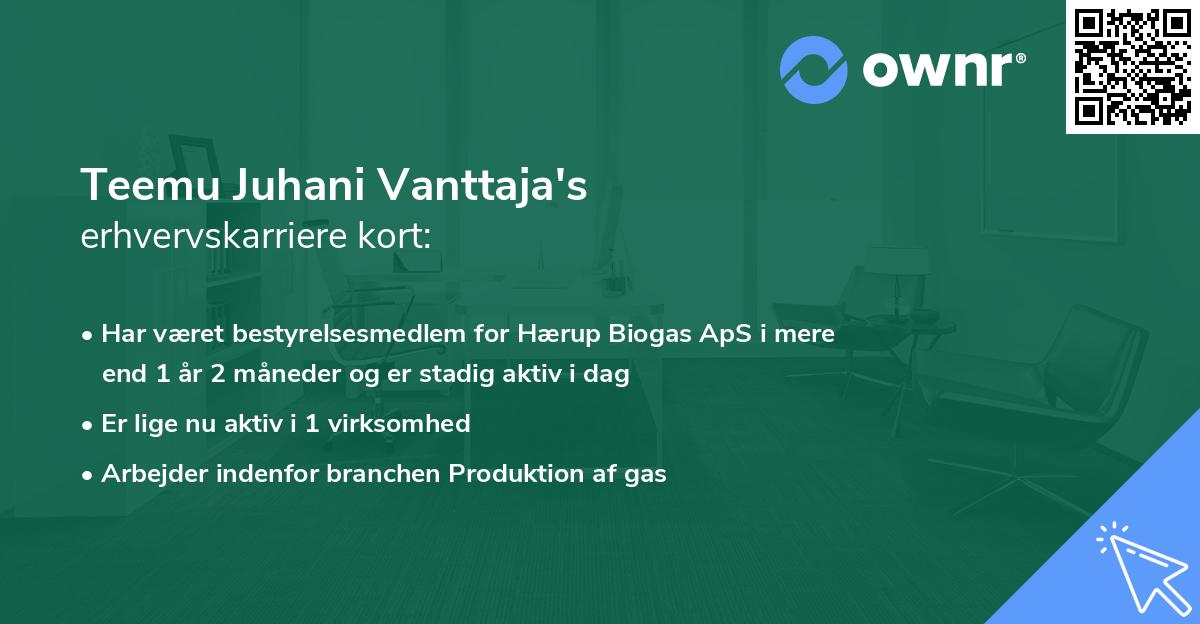 Teemu Juhani Vanttaja's erhvervskarriere kort