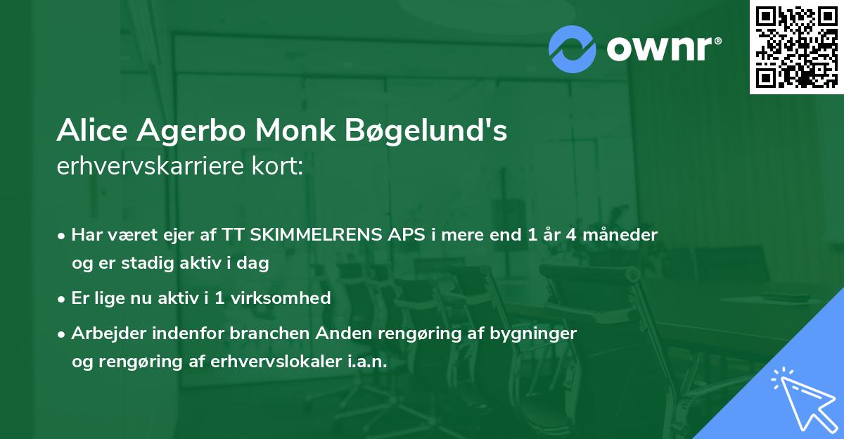 Alice Agerbo Monk Bøgelund's erhvervskarriere kort