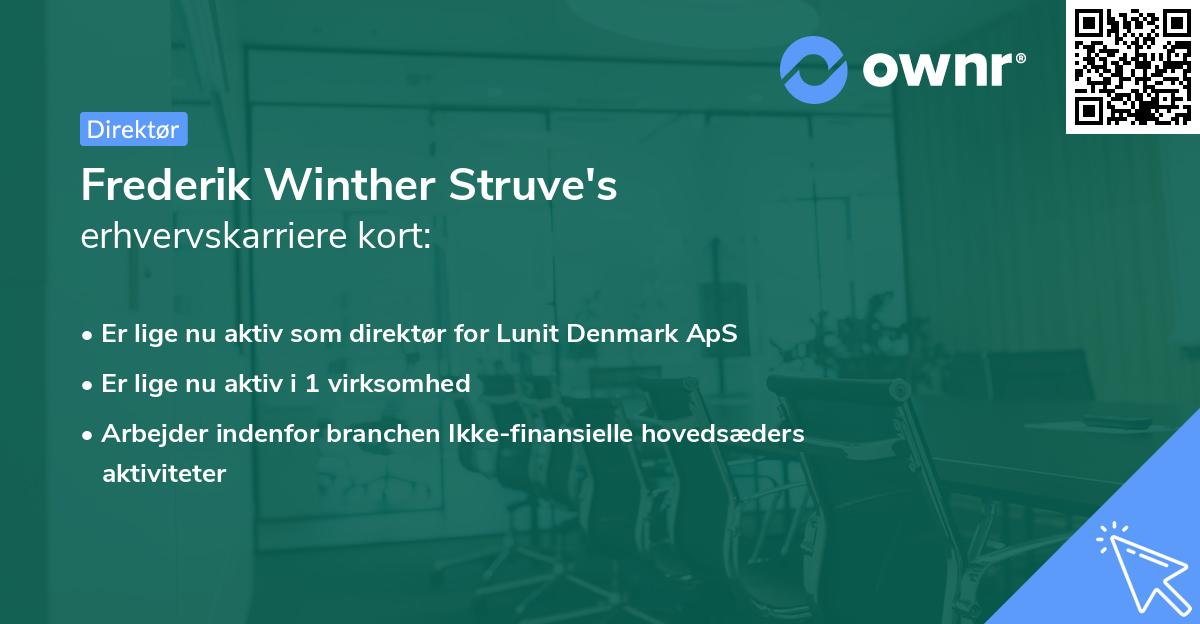 Frederik Winther Struve's erhvervskarriere kort