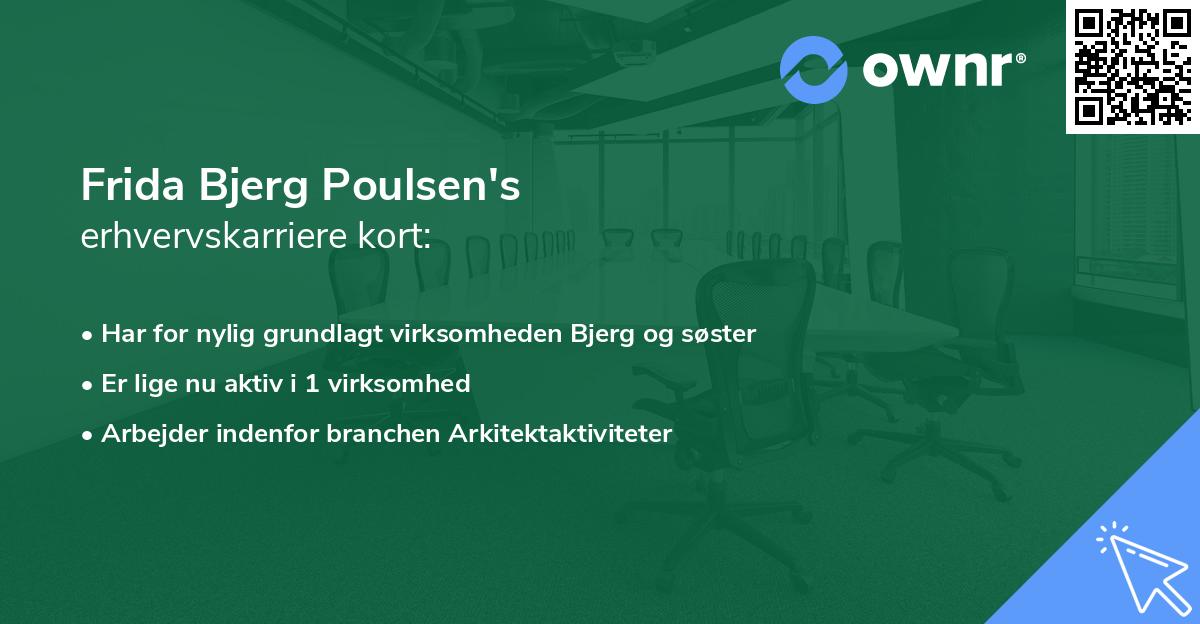 Frida Bjerg Poulsen's erhvervskarriere kort