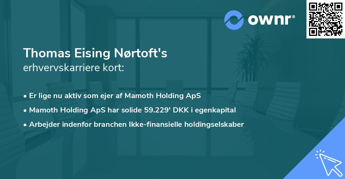 Thomas Eising Nørtoft's erhvervskarriere kort