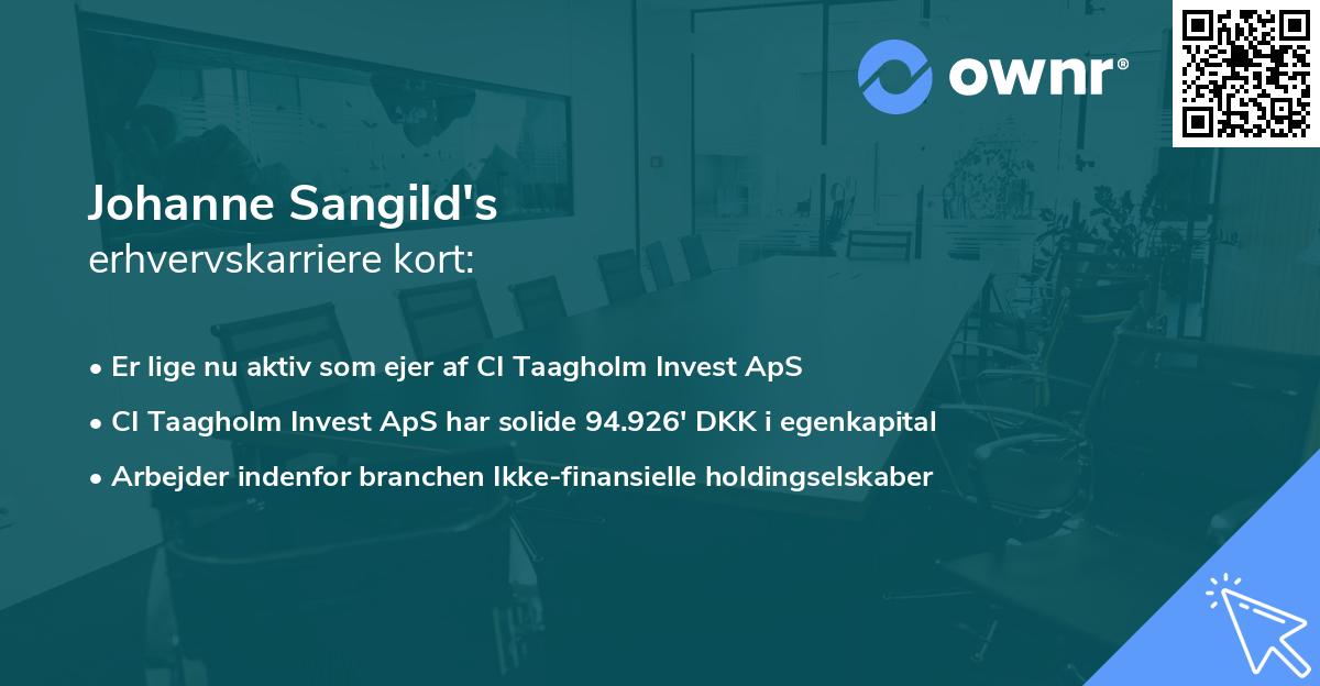 Johanne Sangild's erhvervskarriere kort