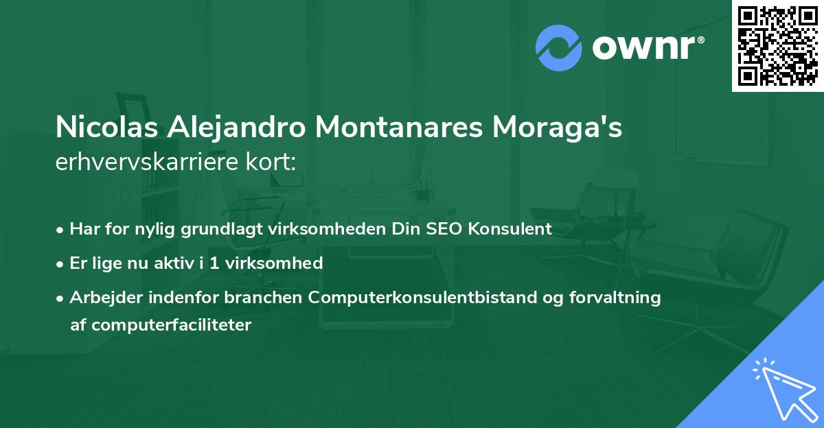 Nicolas Alejandro Montanares Moraga's erhvervskarriere kort