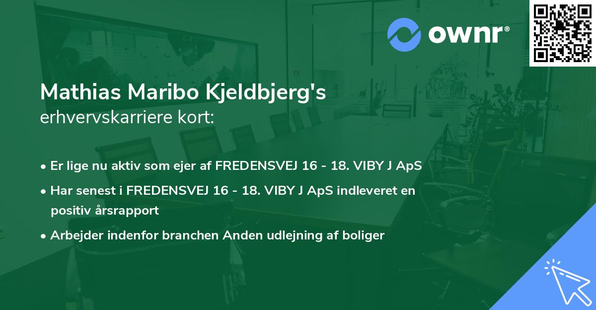 Mathias Maribo Kjeldbjerg's erhvervskarriere kort