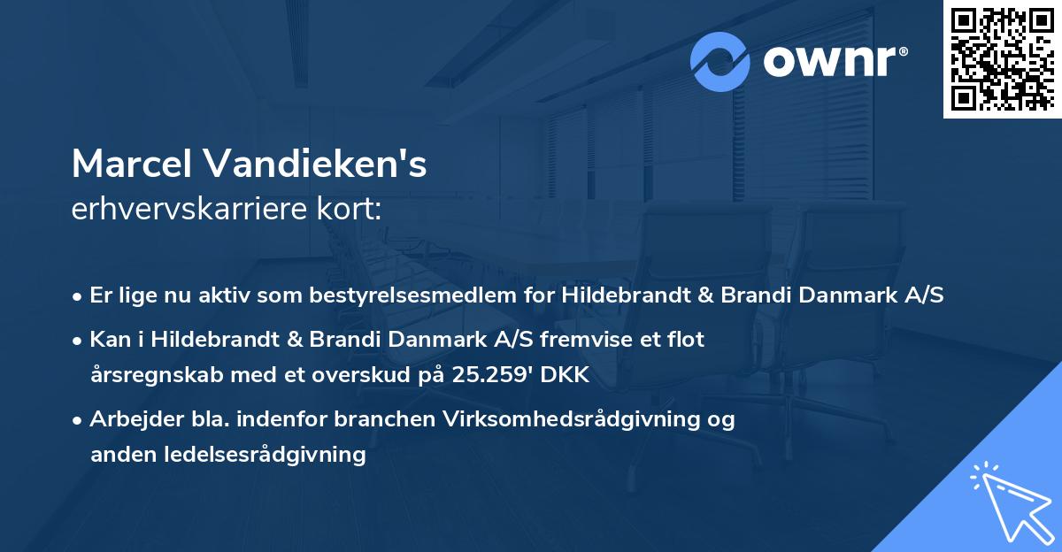Marcel Vandieken's erhvervskarriere kort