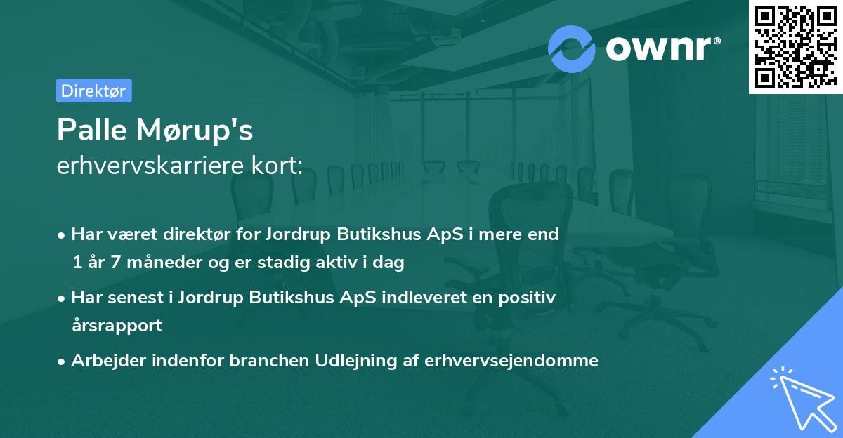Palle Mørup's erhvervskarriere kort