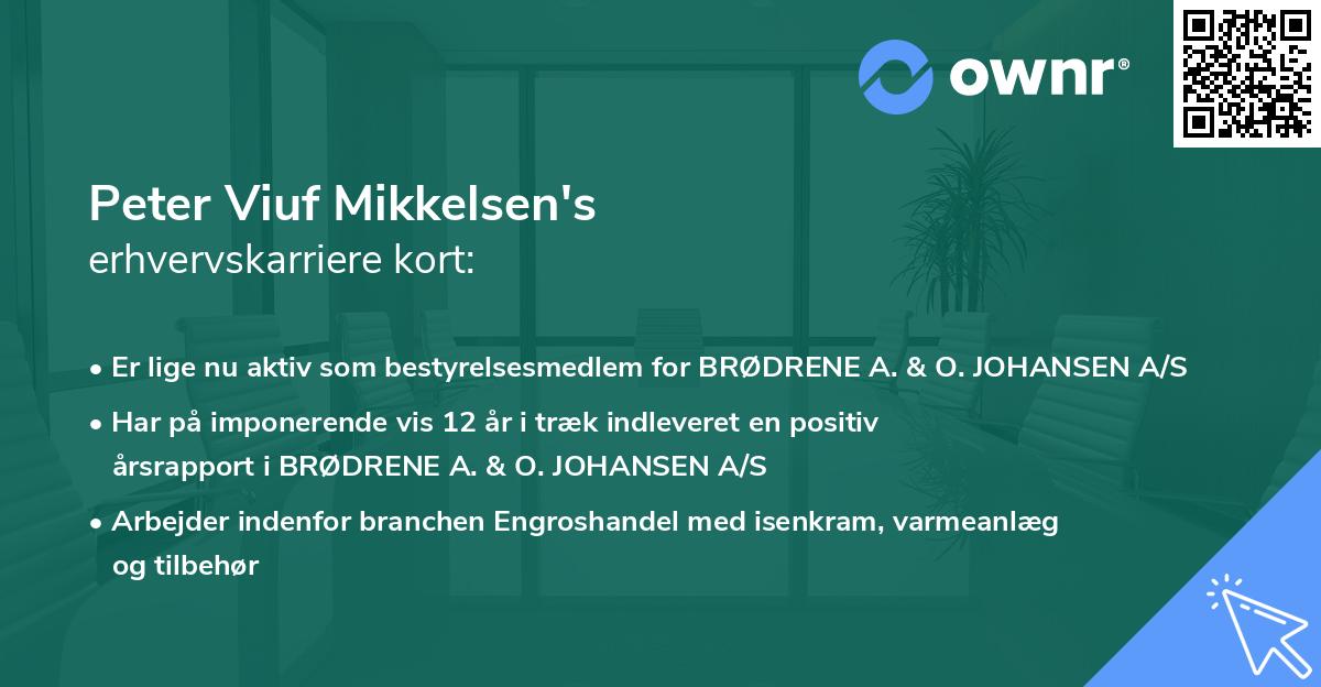 Peter Viuf Mikkelsen's erhvervskarriere kort