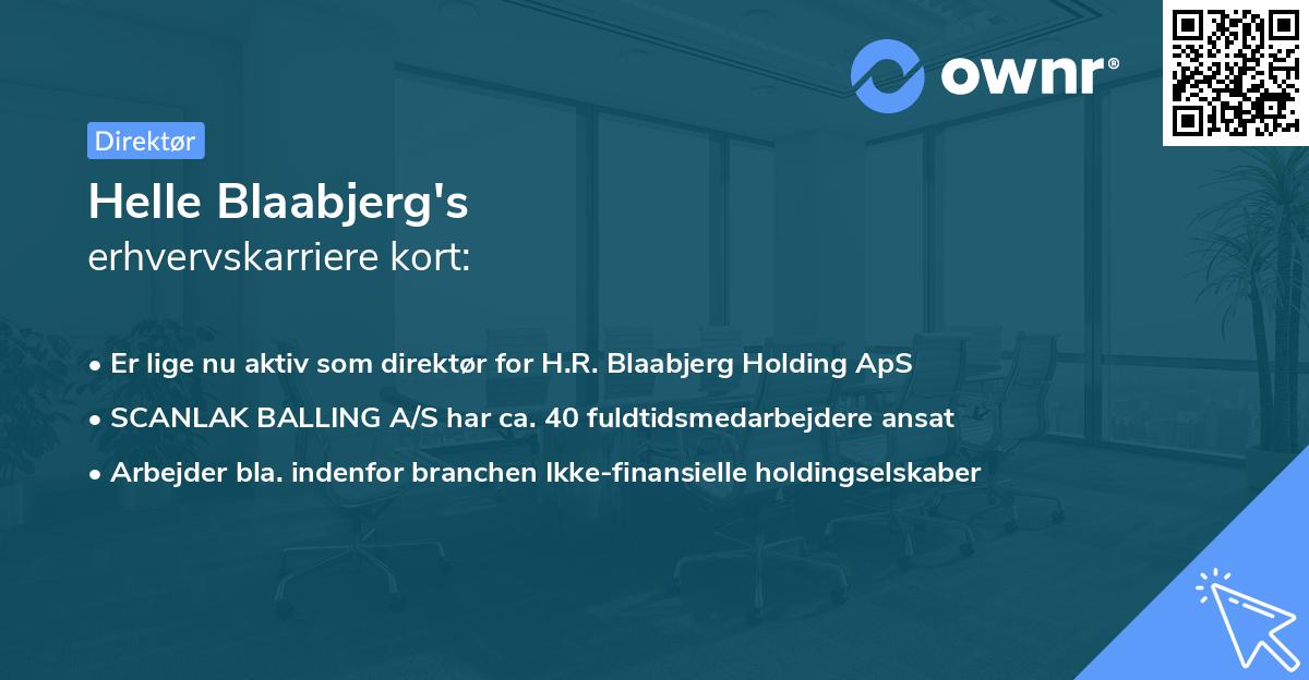 Helle Blaabjerg's erhvervskarriere kort