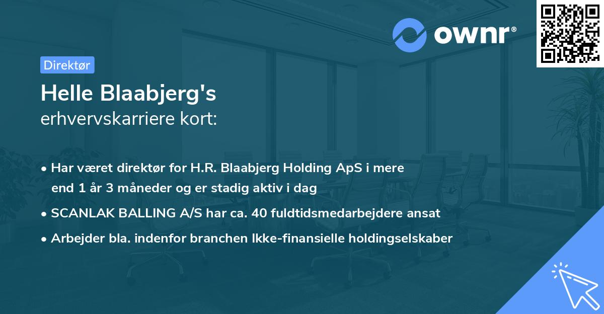 Helle Blaabjerg's erhvervskarriere kort