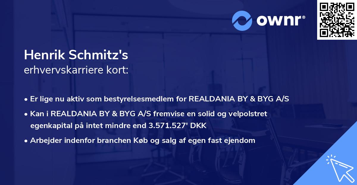 Henrik Schmitz's erhvervskarriere kort