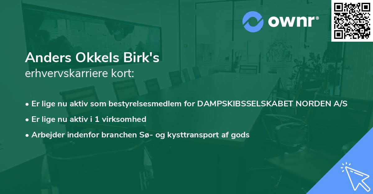 Anders Okkels Birk's erhvervskarriere kort