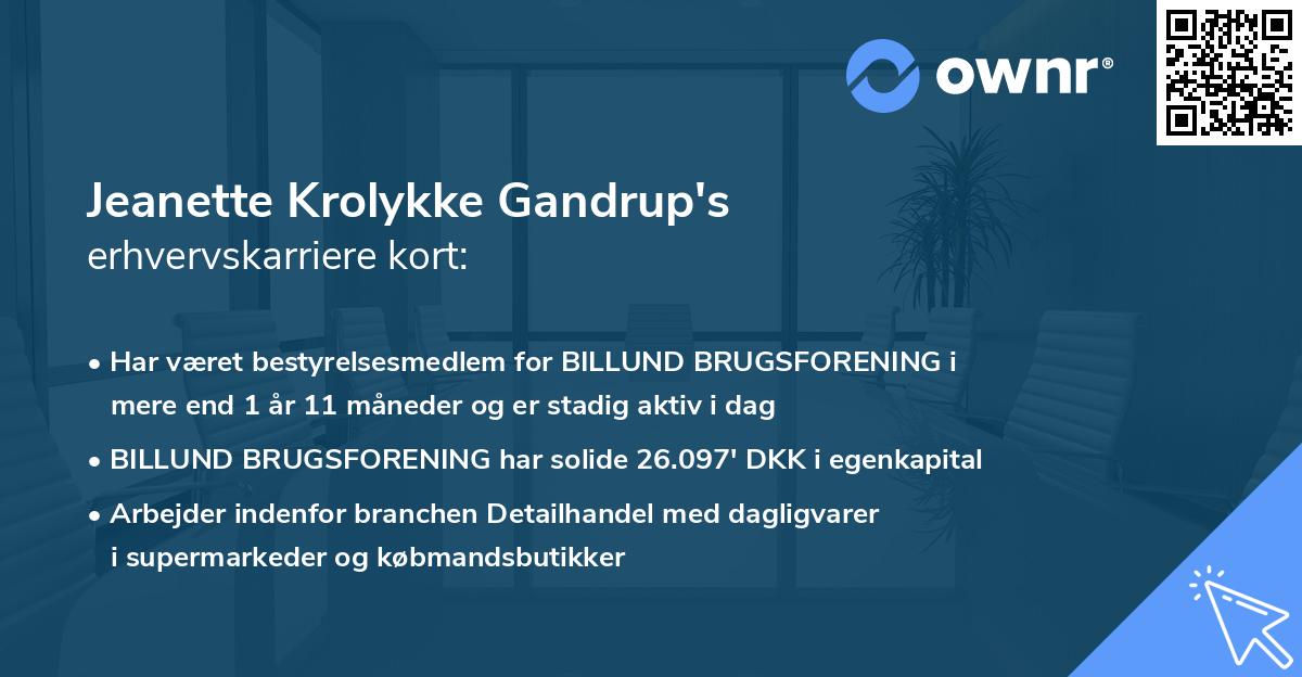 Jeanette Krolykke Gandrup's erhvervskarriere kort