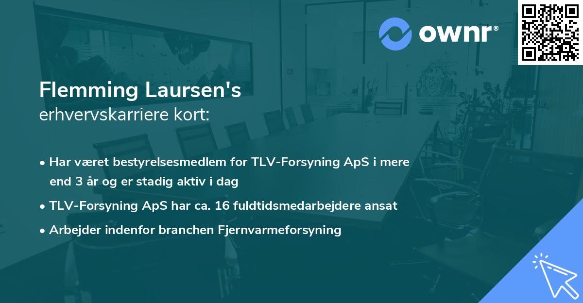 Flemming Laursen's erhvervskarriere kort