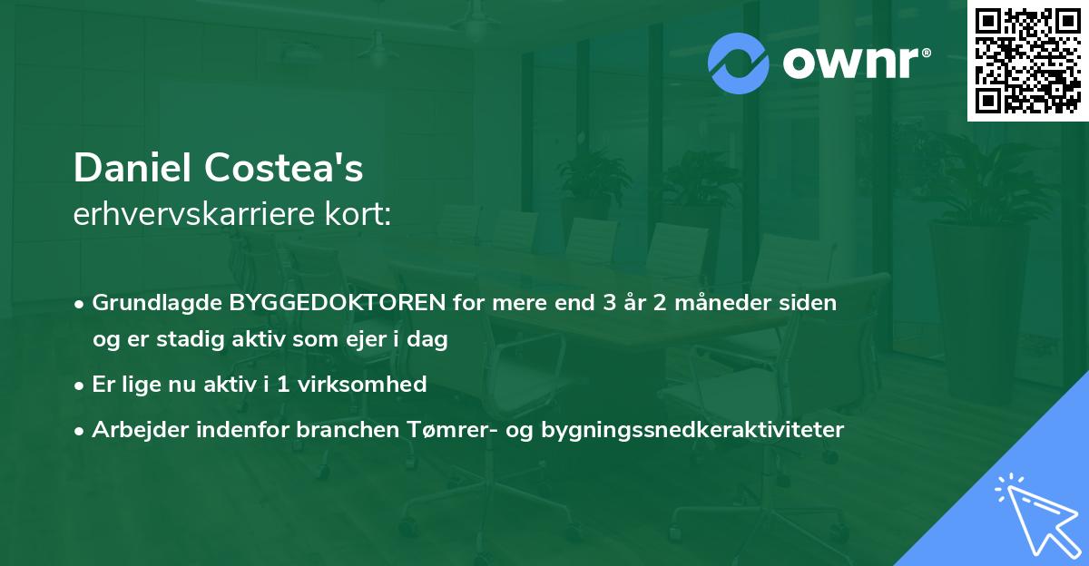 Daniel Costea's erhvervskarriere kort