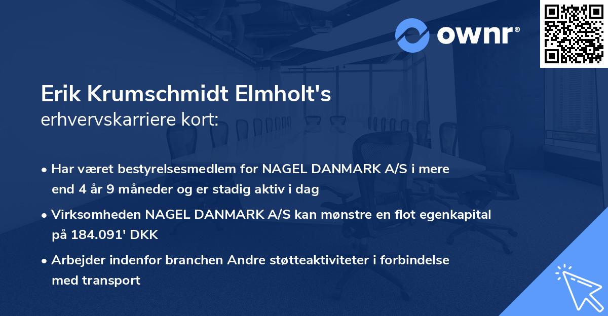 Erik Krumschmidt Elmholt's erhvervskarriere kort