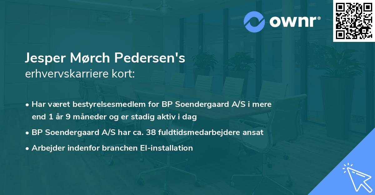 Jesper Mørch Pedersen's erhvervskarriere kort