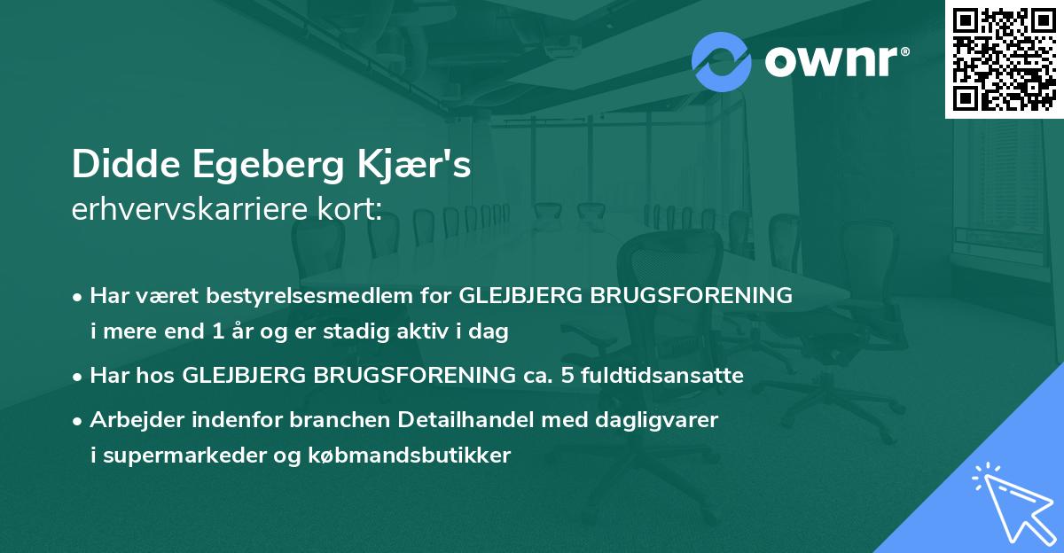 Didde Egeberg Kjær's erhvervskarriere kort