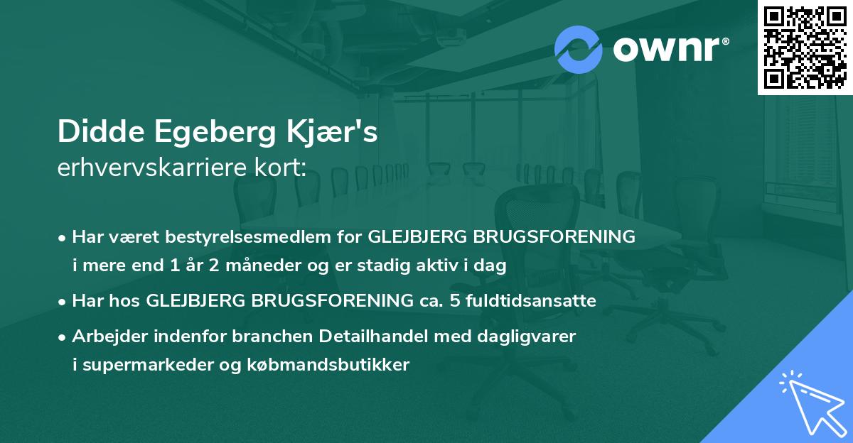 Didde Egeberg Kjær's erhvervskarriere kort