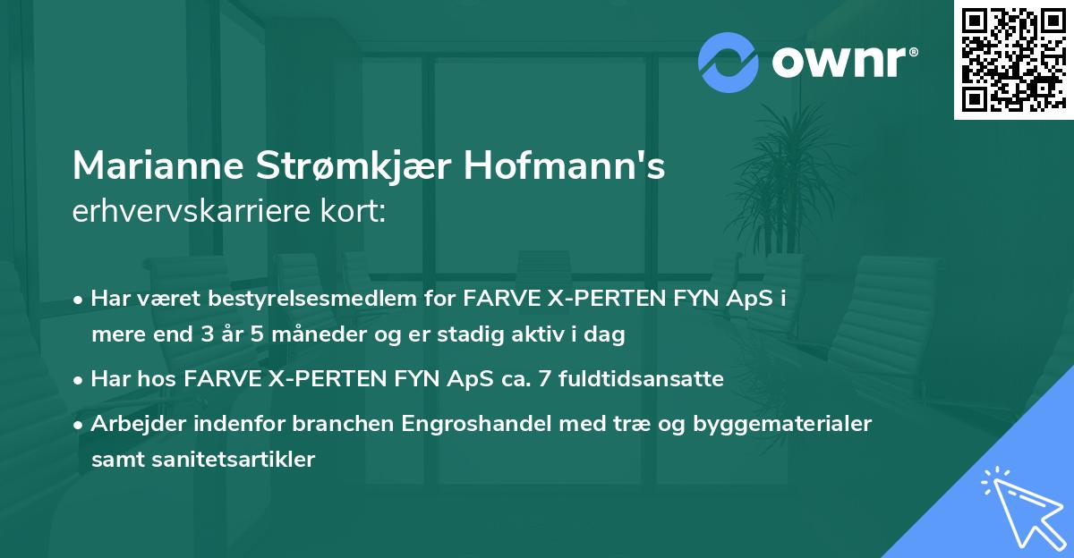 Marianne Strømkjær Hofmann's erhvervskarriere kort