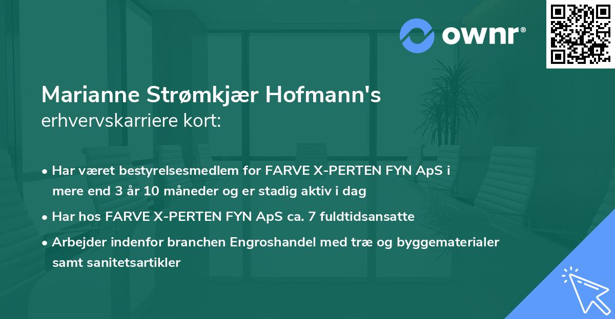 Marianne Strømkjær Hofmann's erhvervskarriere kort
