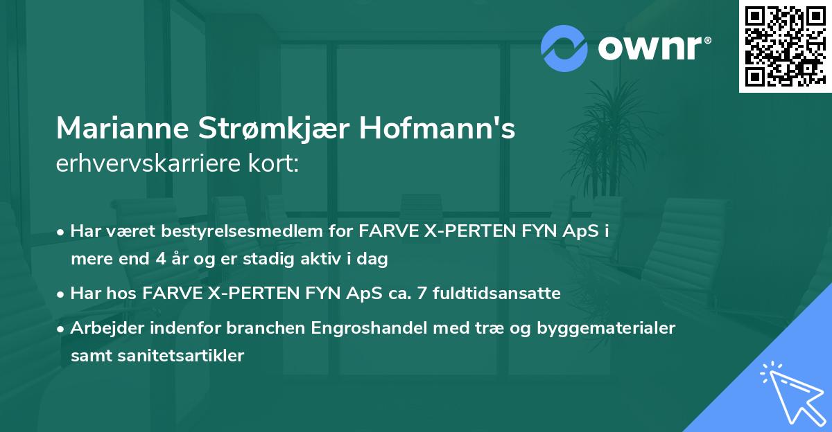 Marianne Strømkjær Hofmann's erhvervskarriere kort