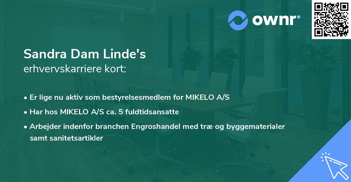 Sandra Dam Linde's erhvervskarriere kort