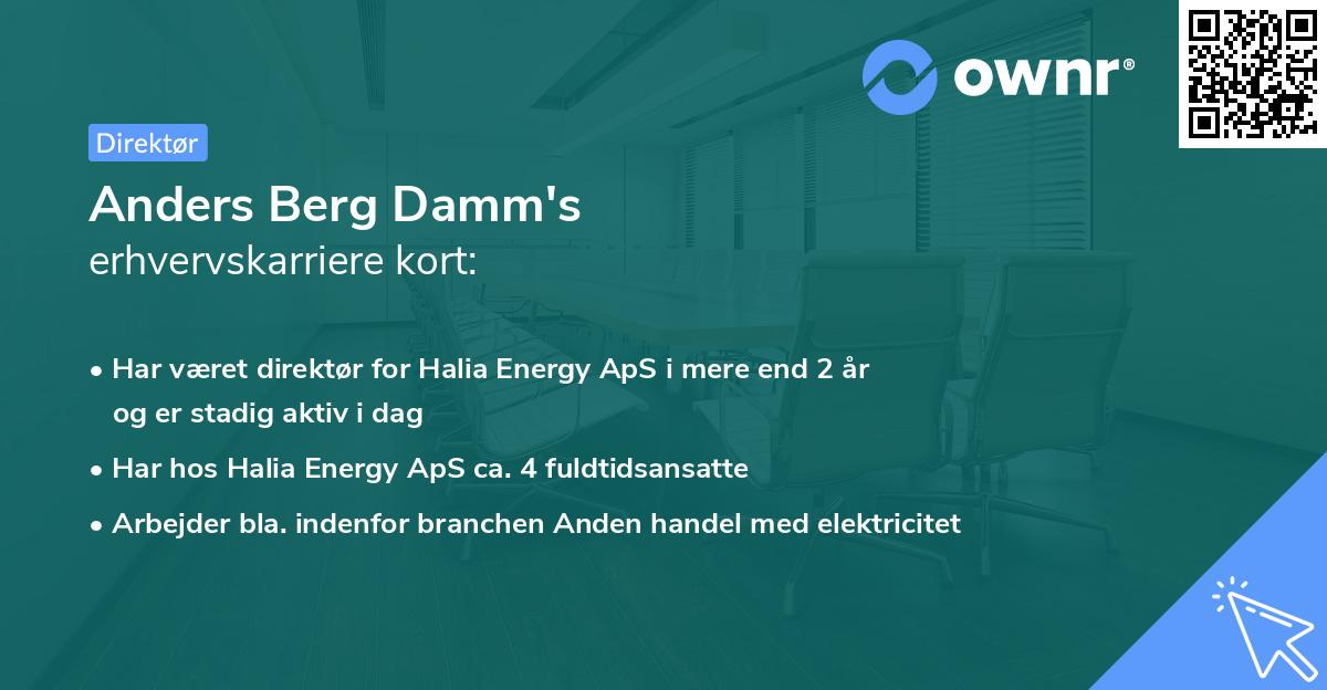 Anders Berg Damm's erhvervskarriere kort