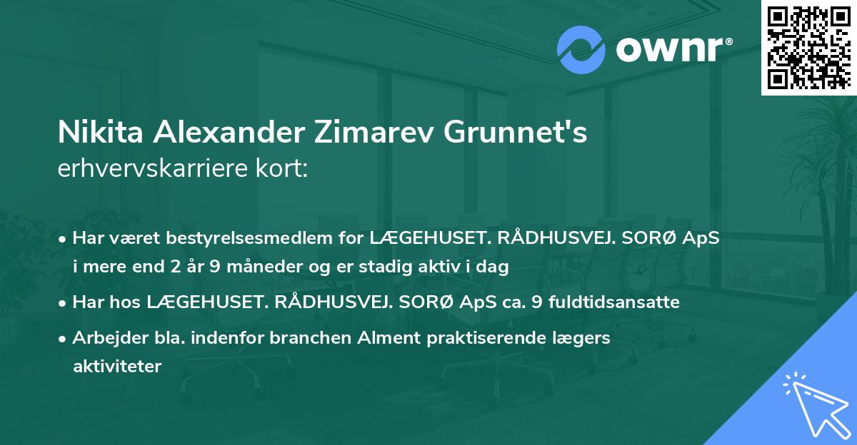 Nikita Alexander Zimarev Grunnet's erhvervskarriere kort