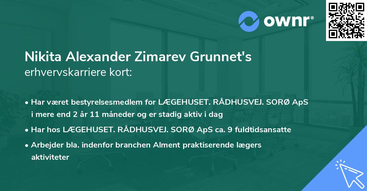 Nikita Alexander Zimarev Grunnet's erhvervskarriere kort