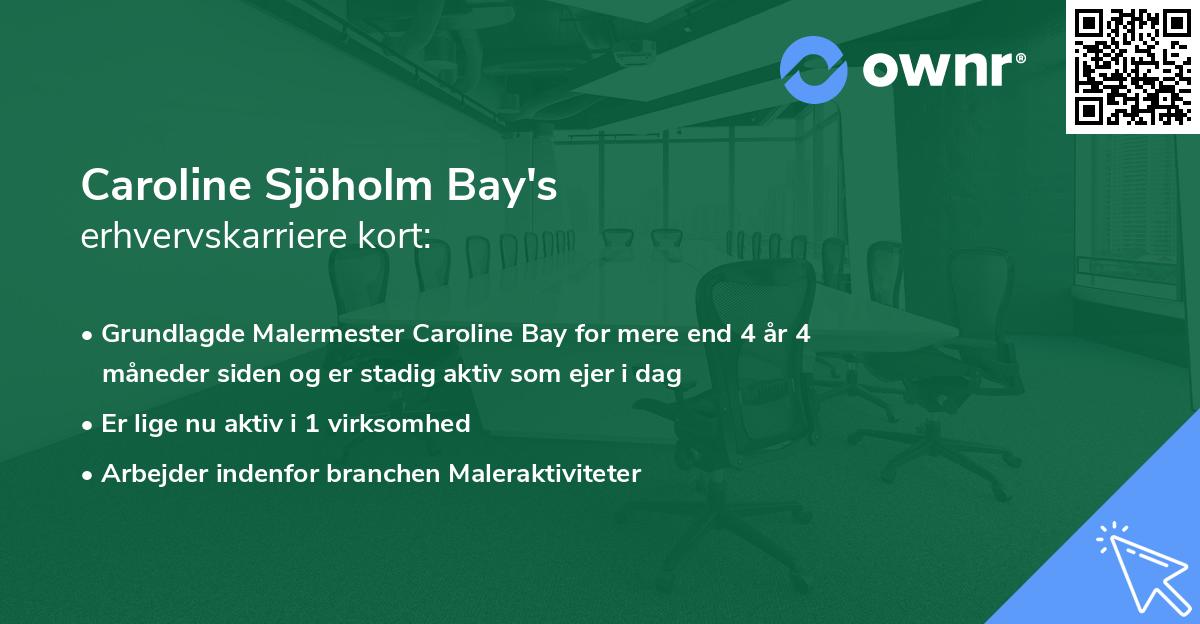 Caroline Sjöholm Bay's erhvervskarriere kort