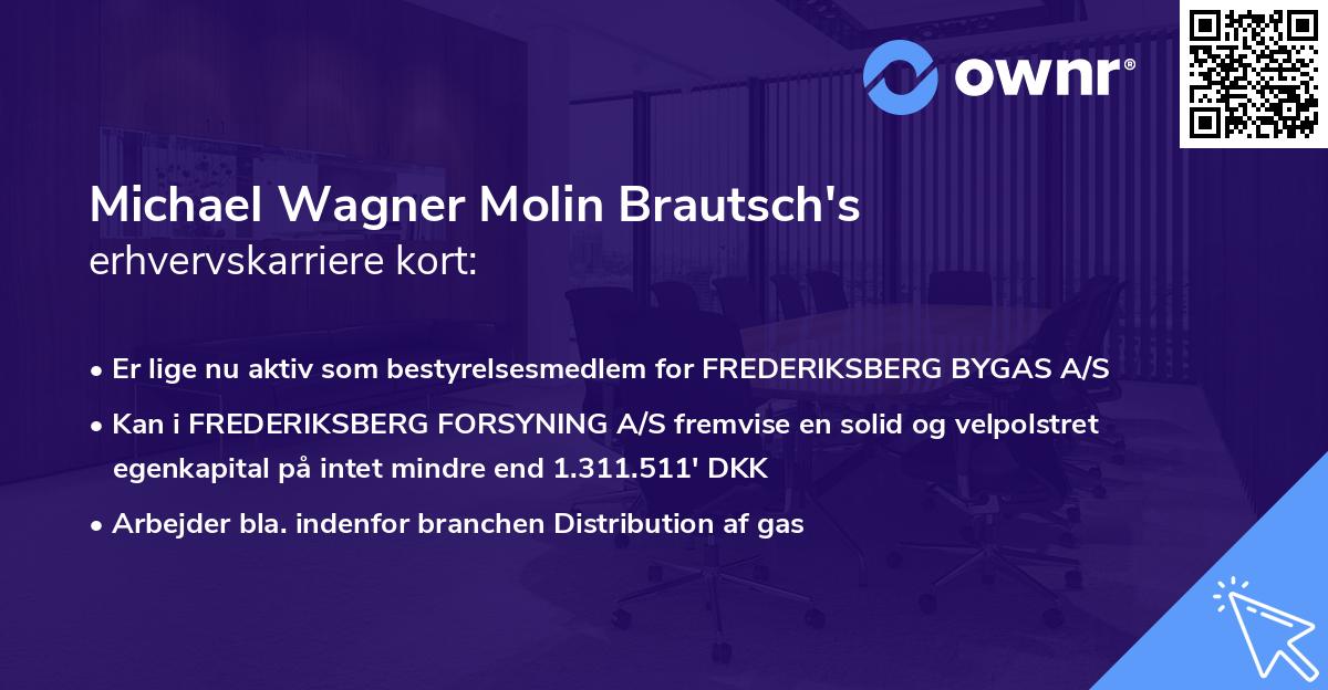 Michael Wagner Molin Brautsch's erhvervskarriere kort