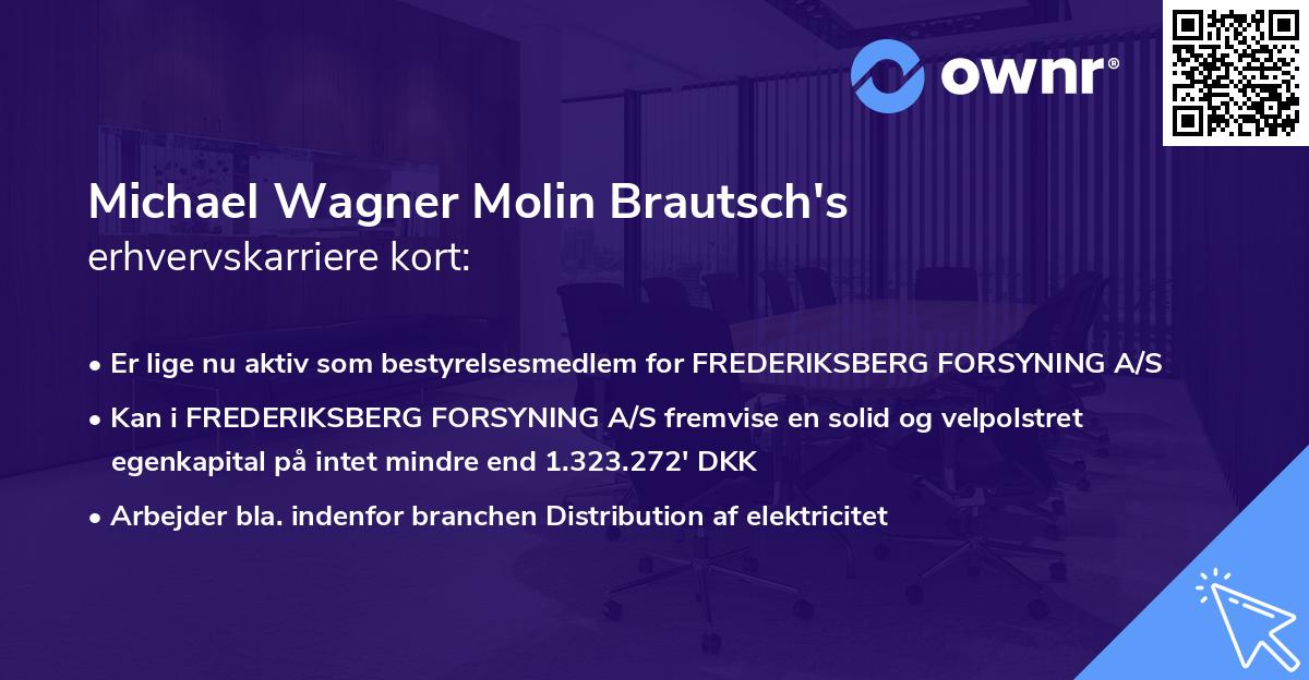 Michael Wagner Molin Brautsch's erhvervskarriere kort