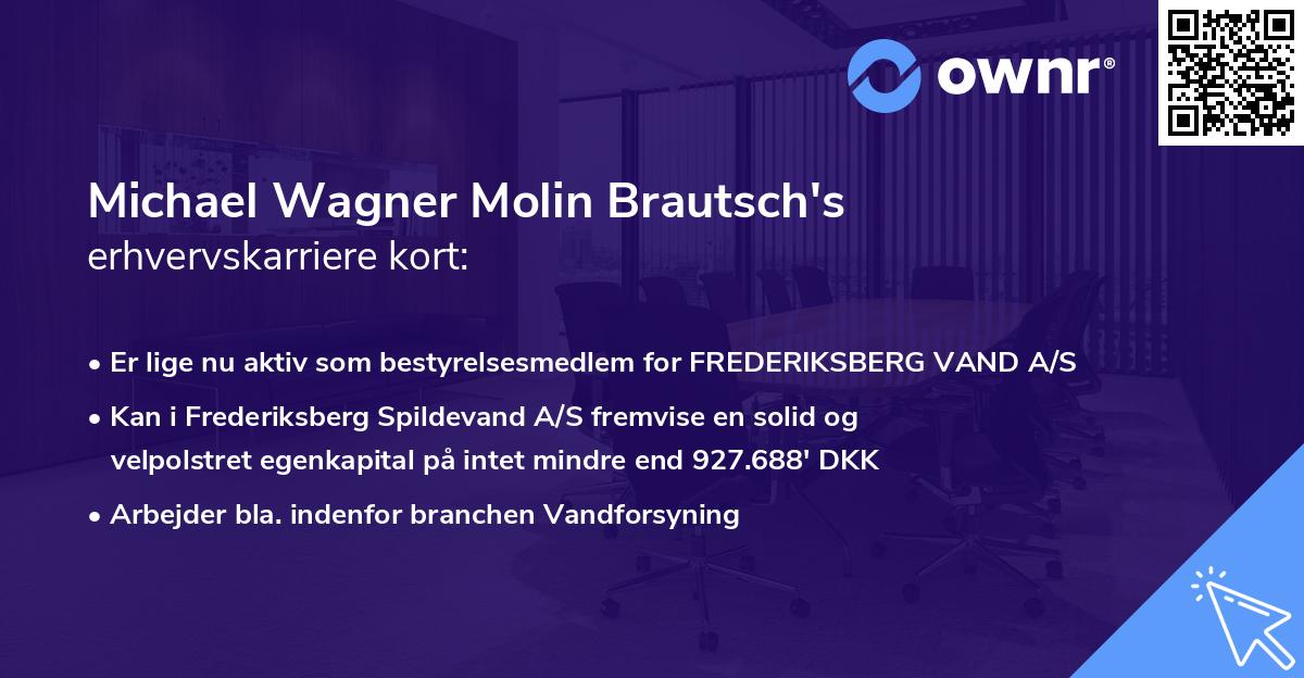 Michael Wagner Molin Brautsch's erhvervskarriere kort