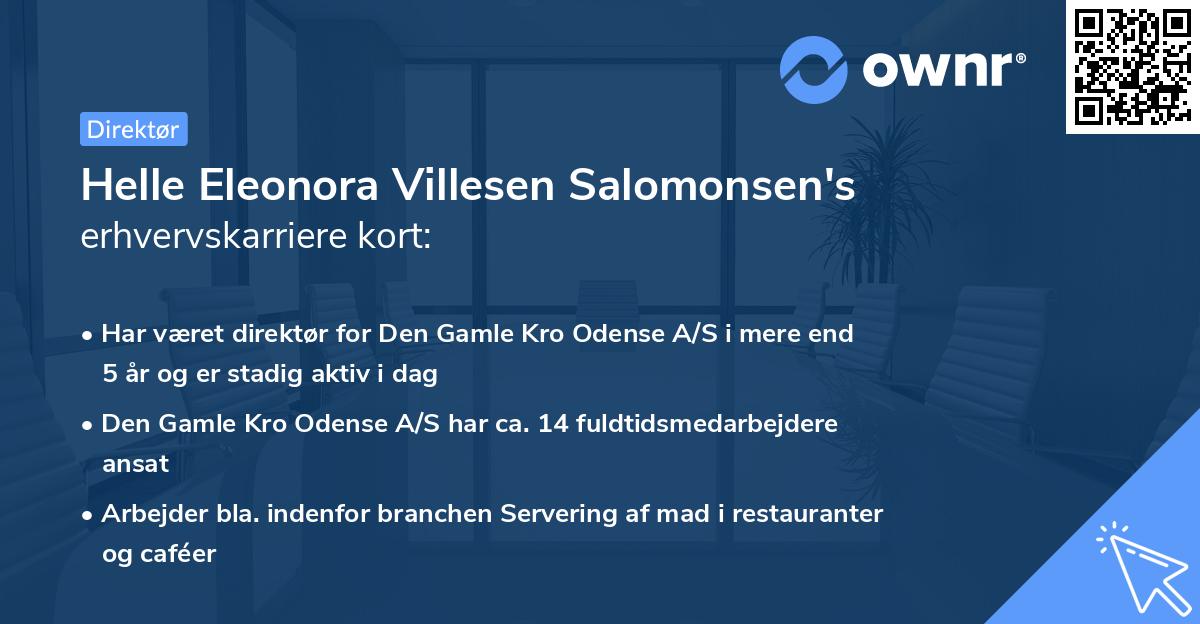 Helle Eleonora Villesen Salomonsen's erhvervskarriere kort