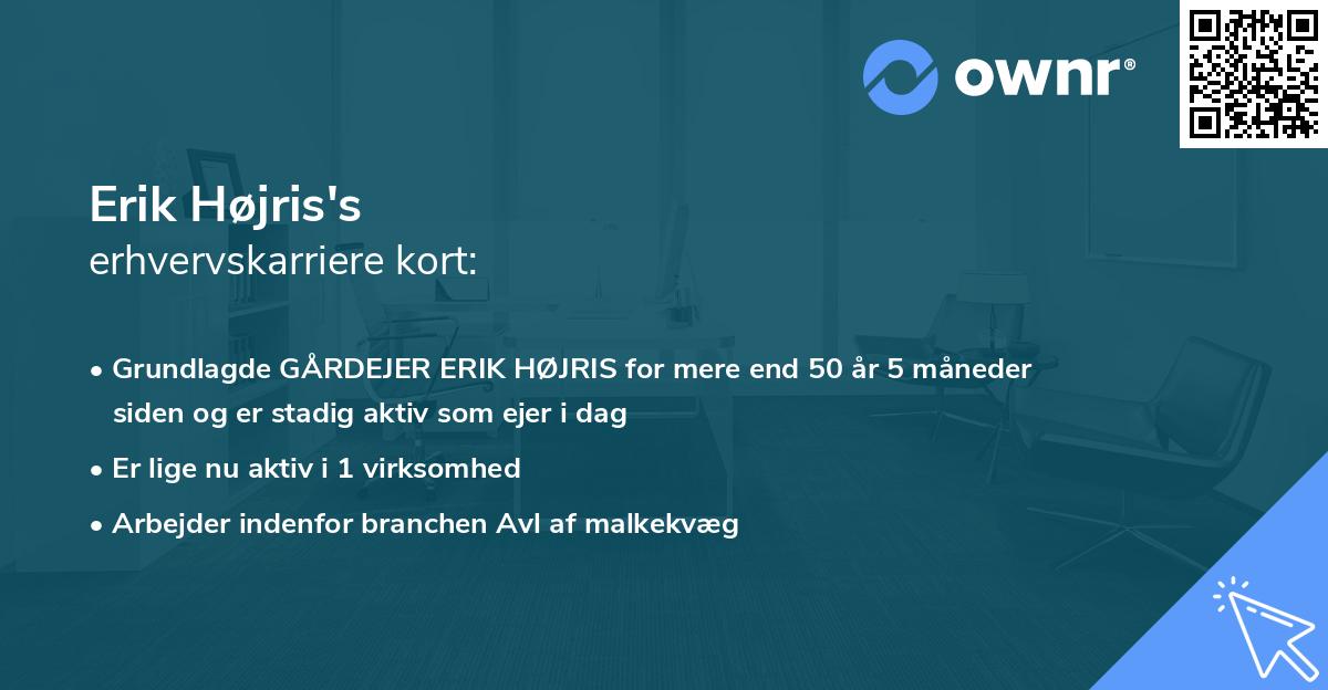 Erik Højris's erhvervskarriere kort