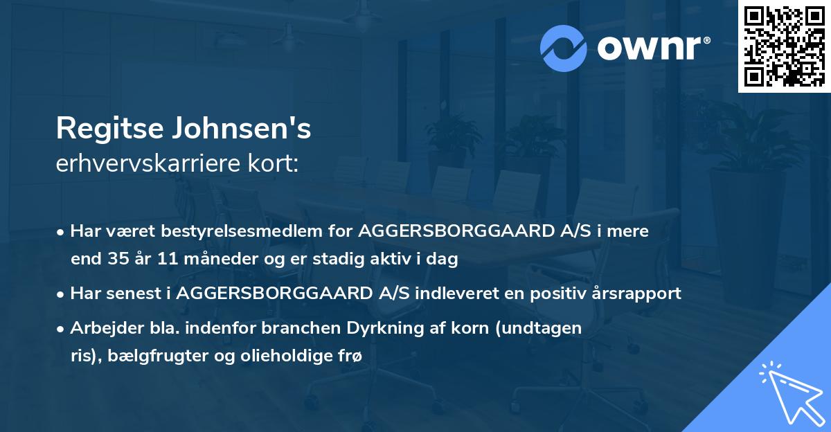 Regitse Johnsen's erhvervskarriere kort